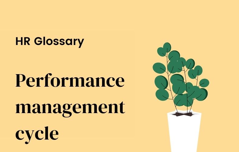 What is performance management cycle?
