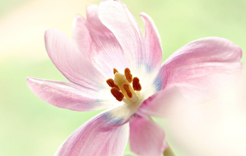 Bulletin de paie électronique au Maroc