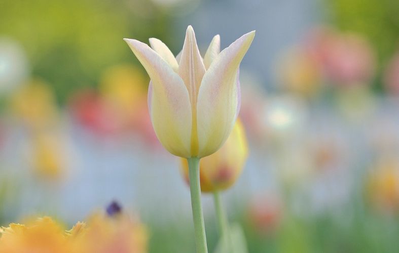 Réduction de l’absentéisme : méthodes et indicateurs clés